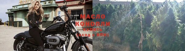 spice Богородск