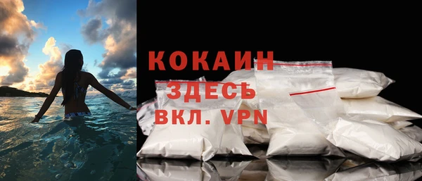 spice Богородск
