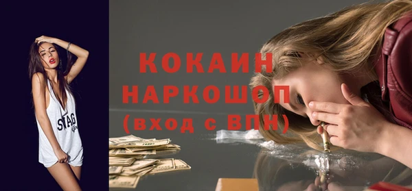 spice Богородск