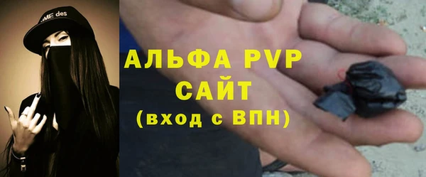 spice Богородск