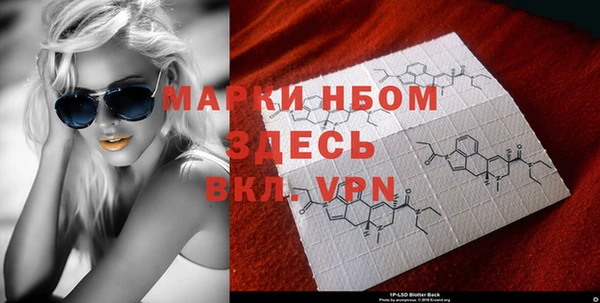 spice Богородск