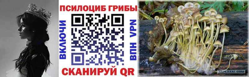 Галлюциногенные грибы мицелий  blacksprut ONION  Светлый 